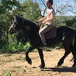 מלון La Bastie D'urfe 3*