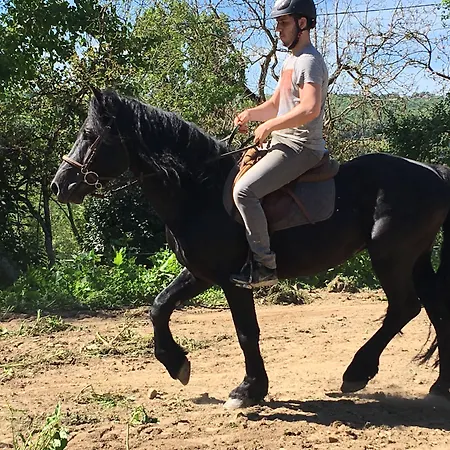 Hotel La Bastie D'urfé 3*