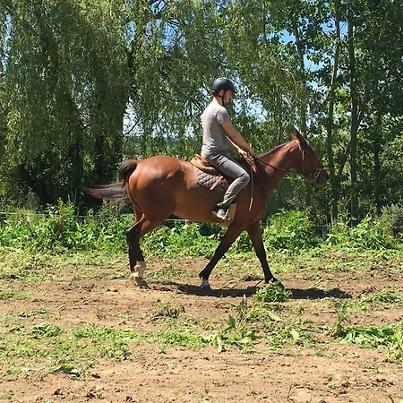 La Bastie D'urfé Hotel 3*